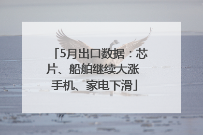5月出口数据：芯片、船舶继续大涨 手机、家电下滑