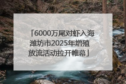 6000万尾对虾入海 潍坊市2025年增殖放流活动拉开帷幕