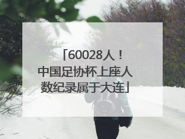 60028人！中国足协杯上座人数纪录属于大连
