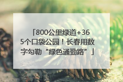 800公里绿道+365个口袋公园！长春用数字勾勒“绿色通勤路”
