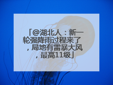 @湖北人：新一轮强降雨过程来了，局地有雷暴大风，最高11级