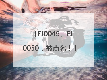 FJ0049、FJ0050，被点名！