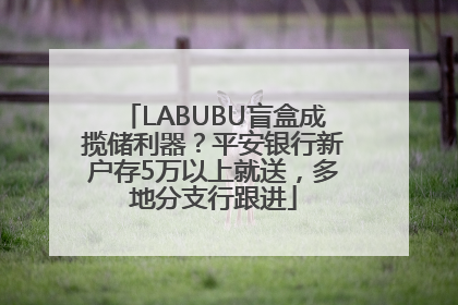 LABUBU盲盒成揽储利器？平安银行新户存5万以上就送，多地分支行跟进