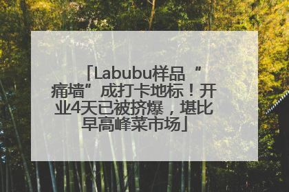 Labubu样品“痛墙”成打卡地标！开业4天已被挤爆，堪比早高峰菜市场