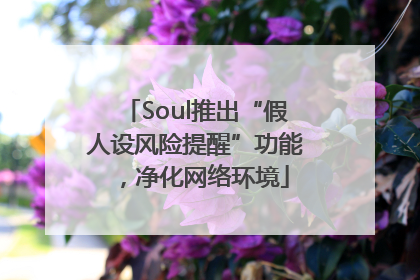 Soul推出“假人设风险提醒”功能，净化网络环境