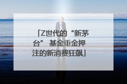 Z世代的“新茅台” 基金重金押注的新消费狂飙